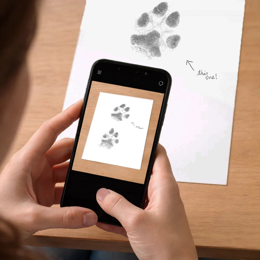 person_taking_photo_of_pawprint
