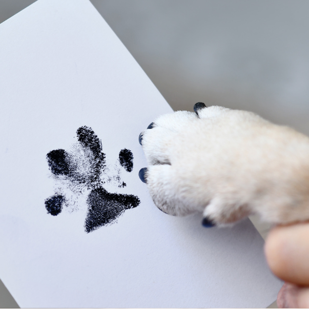 taking_pawprint